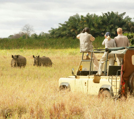bushtreksafaris Rhino tracking Safari tourists in 4X4 come across three rhinos in the long grass