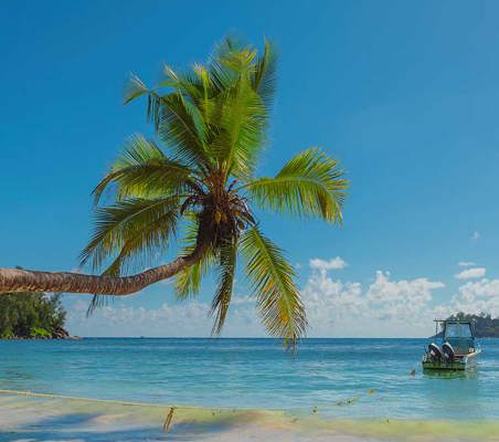 Anse Takamaka Beach On Mahe Island Seychelles honeymoon safari ©bushtreksafaris