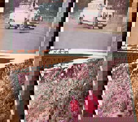 Gogi on his way to the Mara River 1968